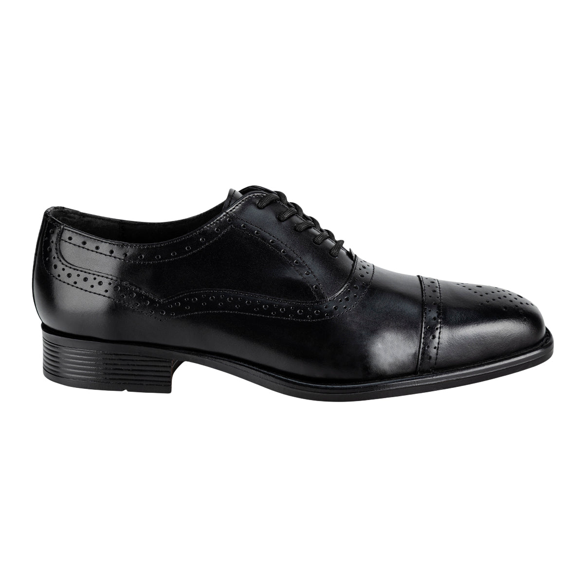 Zapato Oxford Brogue Para Hombre Gino Cherruti 08322