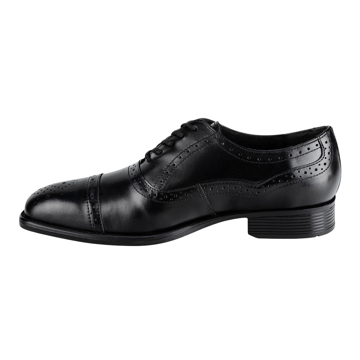 Zapato Oxford Brogue Para Hombre Gino Cherruti 08322