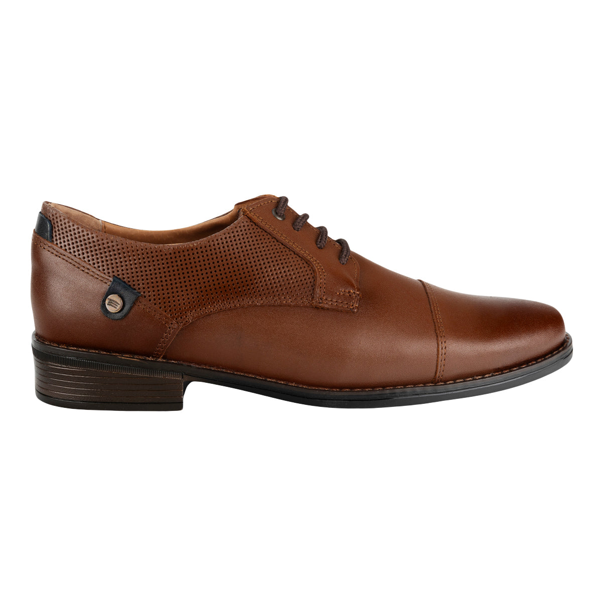 Zapato Oxford Microperforado Para Hombre Epidemia 09467 Epidemia Zapatos Epidemia Calzado con Estilo en México