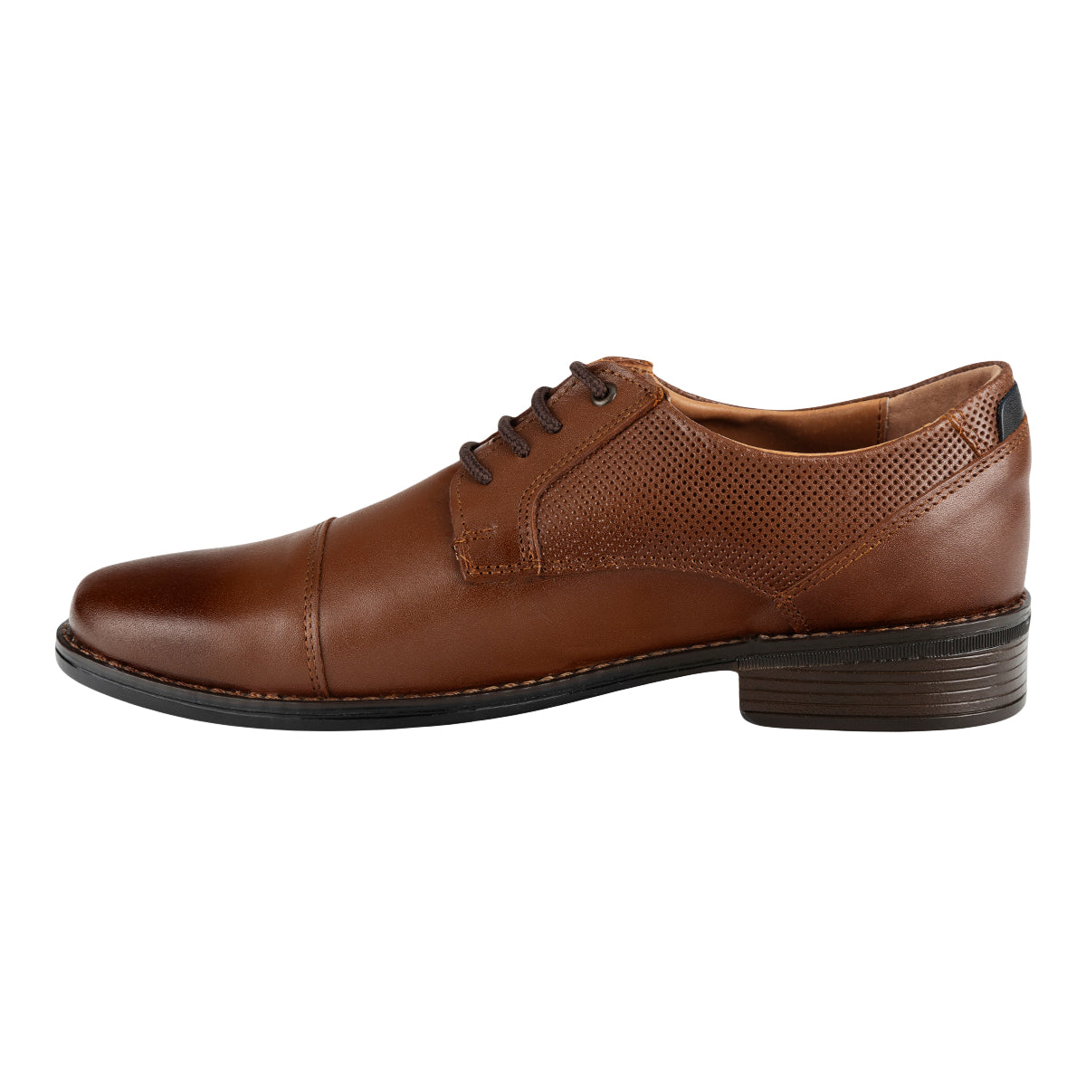 Zapato Oxford Microperforado Para Hombre Epidemia 09467 Epidemia Zapatos Epidemia Calzado con Estilo en México